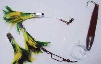 ALL STAR SALTWATER DAISY CHAIN
